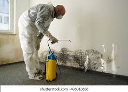  Liverpool, NY Mold Removal & Remediation Pros